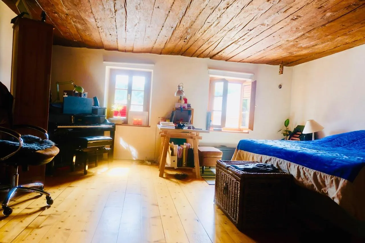 Mozarts Piano-Apartment With Cinematiccityview contacts